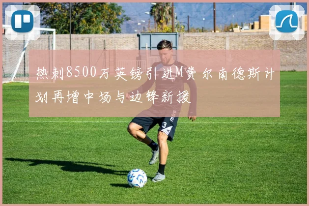 热刺8500万英镑引进M费尔南德斯计划再增中场与边锋新援