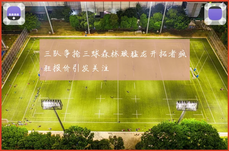 三队争抢三球森林狼猛龙开拓者疯狂报价引发关注